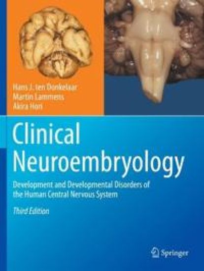 Clinical Neuroembryology