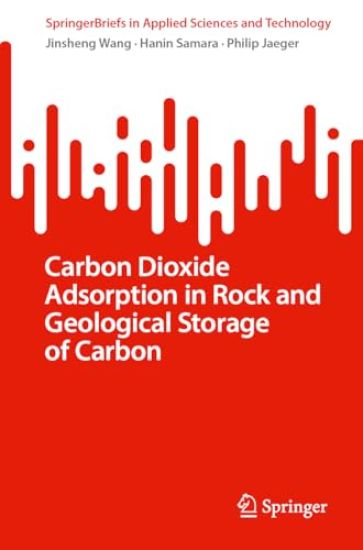 Carbon Dioxide Adsorption in Rock and Geological Storage of Carbon