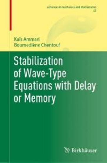 Stabilization of Wave-Type Equations with Delay or Memory