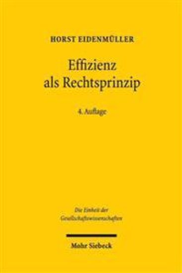 Effizienz als Rechtsprinzip