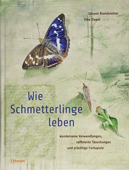 Wie Schmetterlinge leben