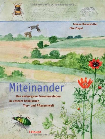 Miteinander