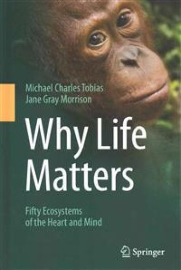 Why Life Matters