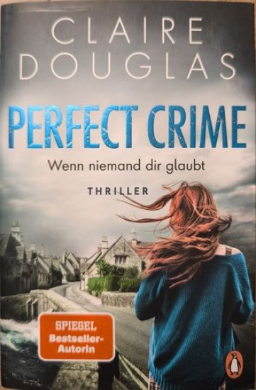 Perfect Crime - Wenn niemand dir glaubt