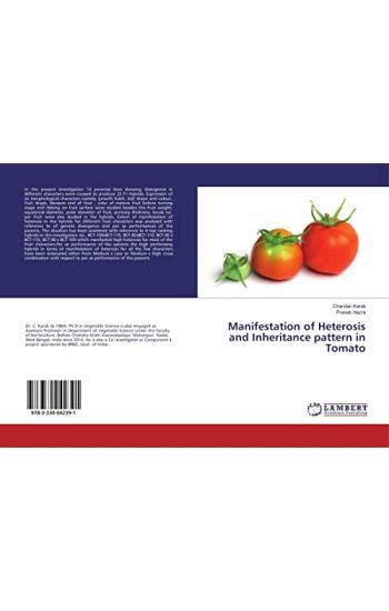 Manifestation of Heterosis and Inheritance pattern in Tomato