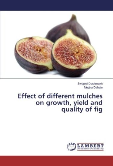 Effect of different mulches on growth, yield and quality of fig