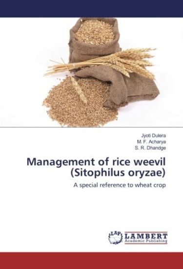 Management of rice weevil (Sitophilus oryzae)