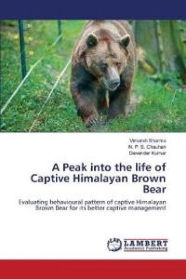 A Peak into the life of Captive Himalayan Brown Bear