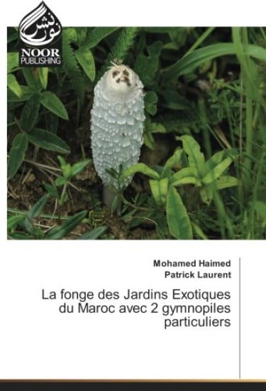 La fonge des Jardins Exotiques du Maroc avec 2 gymnopiles particuliers