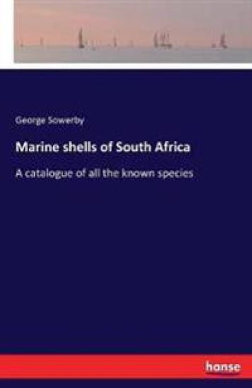 Marine shells of South Africa