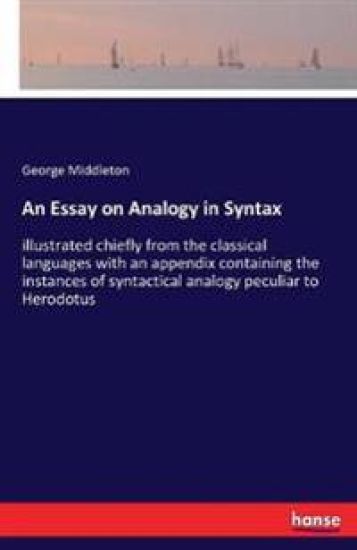 An Essay on Analogy in Syntax