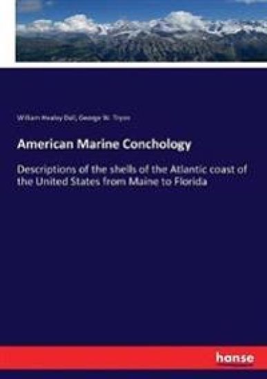 American Marine Conchology