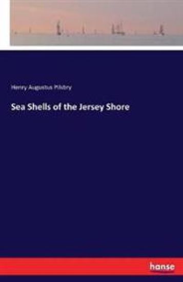 Sea Shells of the Jersey Shore