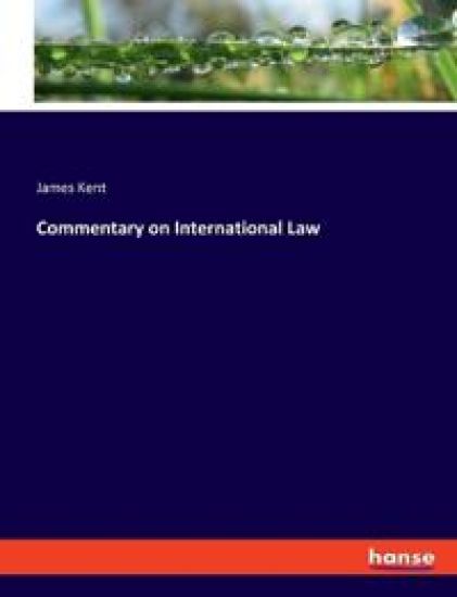 Commentary on International Law