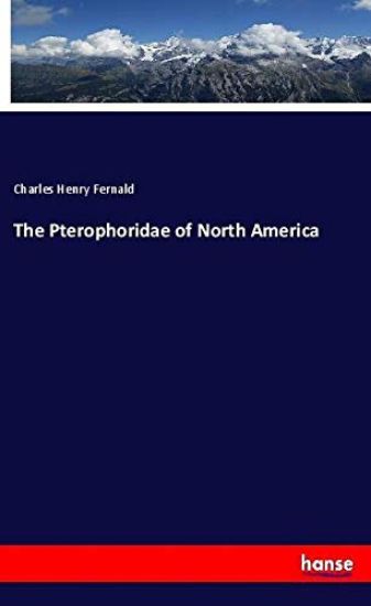 The Pterophoridae of North America