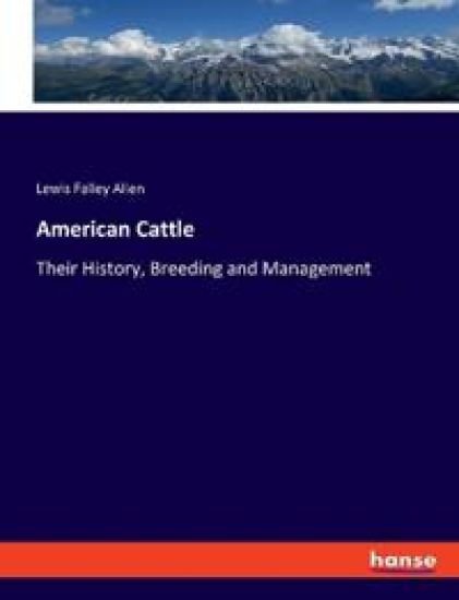 American Cattle