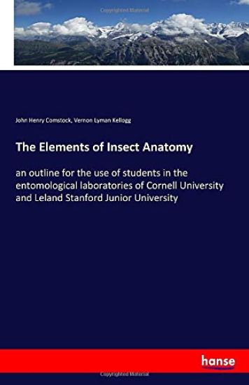 The Elements of Insect Anatomy