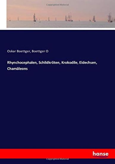 Rhynchocephalen, Schildkröten, Krokodile, Eidechsen, Chamäleons