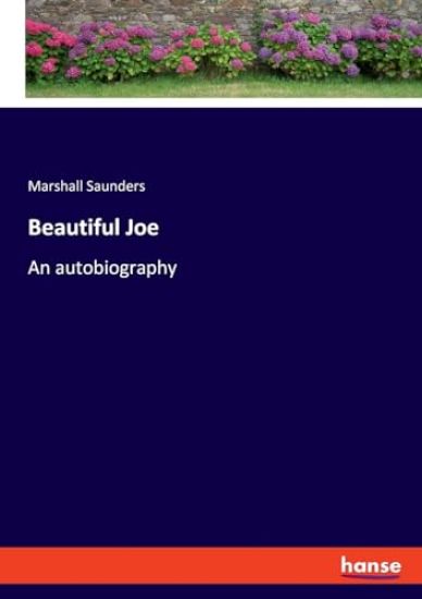 Beautiful Joe