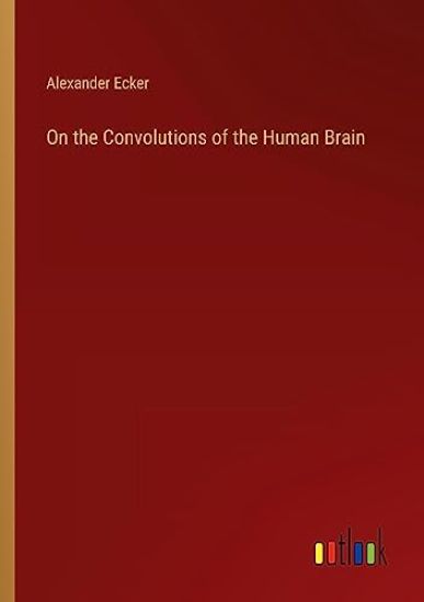 On the Convolutions of the Human Brain