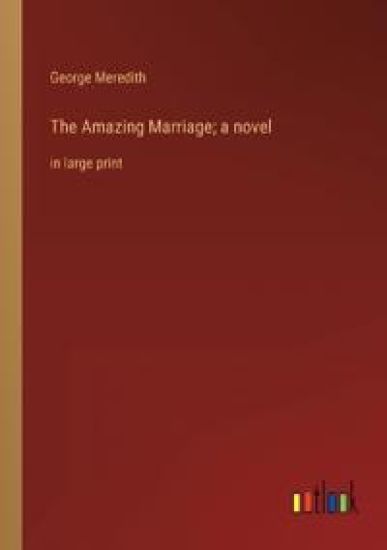 The Amazing Marriage; a novel