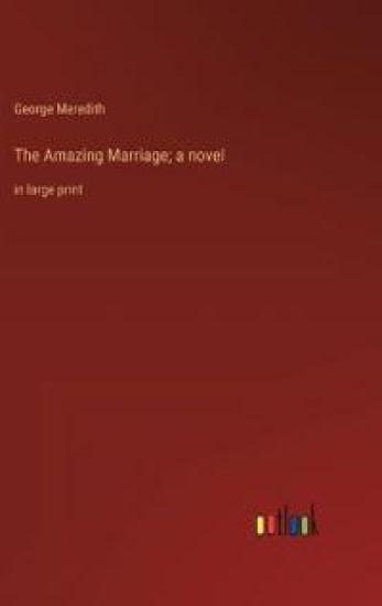 The Amazing Marriage; a novel