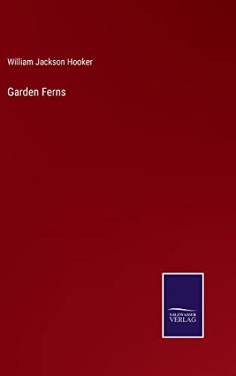 Garden Ferns