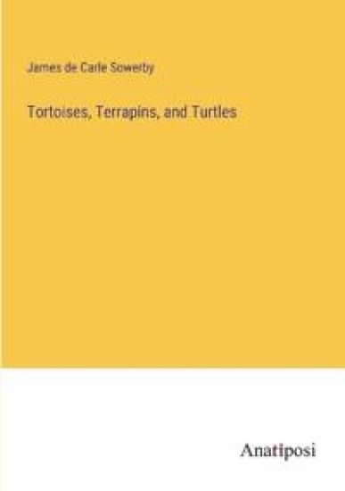 Tortoises, Terrapins, and Turtles