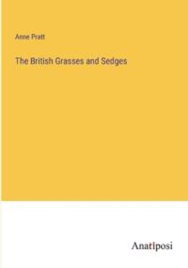 The British Grasses and Sedges