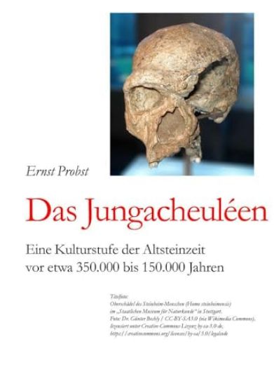 Das Jungacheuléen