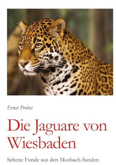 Die Jaguare von Wiesbaden