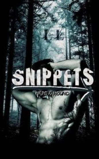Snippets