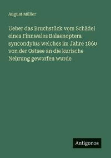 Ueber das Bruchstück vom Schädel eines Finnwales Balaenoptera syncondylus welches im Jahre 1860 von der Ostsee an die kurische Nehrung geworfen wurde