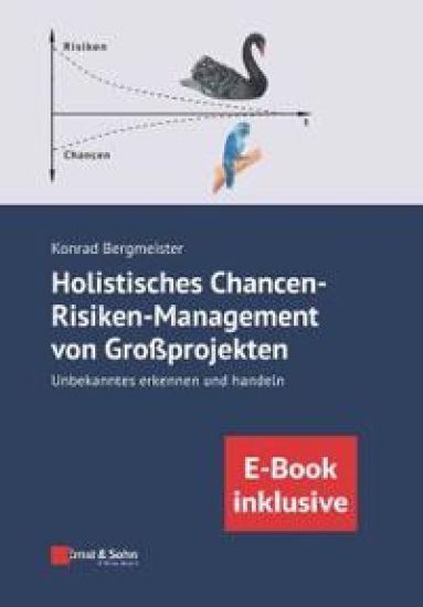 Holistisches Chancen-Risiken-Management von Grossprojekten