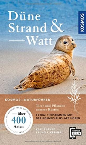 Düne, Strand und Watt