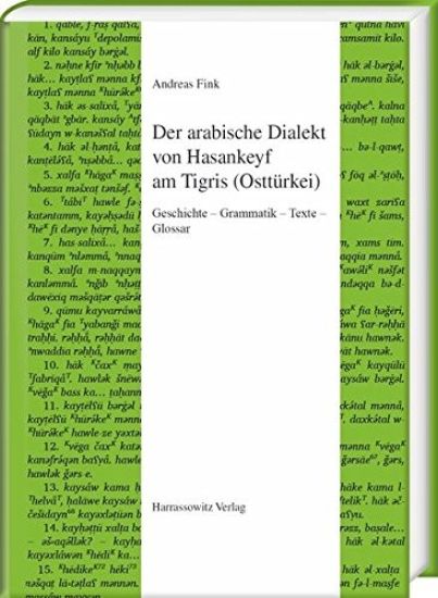 Der Arabische Dialekt Von Hasankeyf Am Tigris (Ostturkei): Geschichte - Grammatik - Texte - Glossar