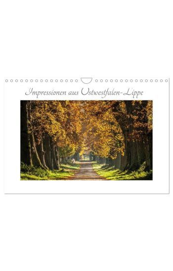 Impressionen aus Ostwestfalen-Lippe (Wandkalender 2026 DIN A4 quer), CALVENDO Monatskalender