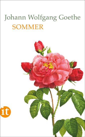 Sommer