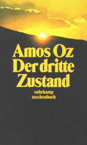 Der dritte Zustand