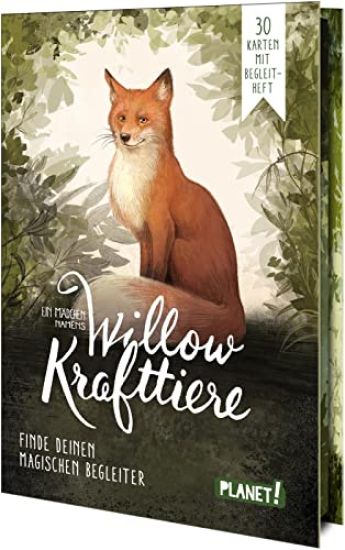 Ein Mädchen namens Willow: Krafttiere – Sabine Bohlmann, kirjan kansikuva