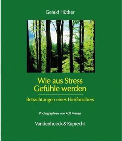 Wie Aus Stress Gefuhle Werden