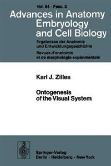 Ontogenesis of the Visual System