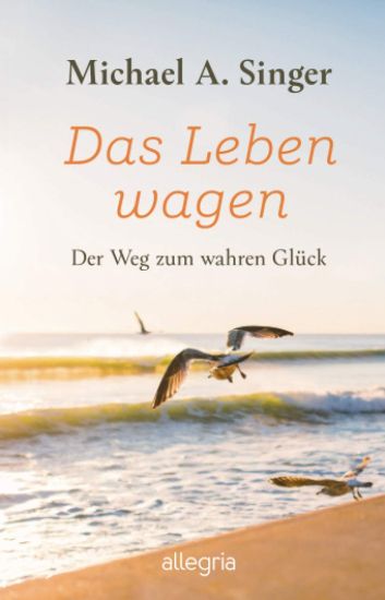 Das Leben wagen – Michael A. Singer, kirjan kansikuva