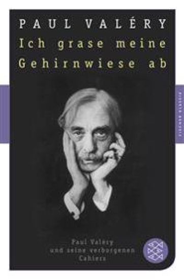 Ich grase meine Gehirnwiese ab – Paul Valéry, kirjan kansikuva