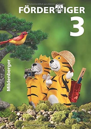 Fördertiger 3