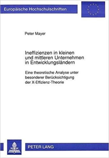Ineffizienzen in Kleinen Und Mittleren Unternehmen in Entwicklungslaendern
