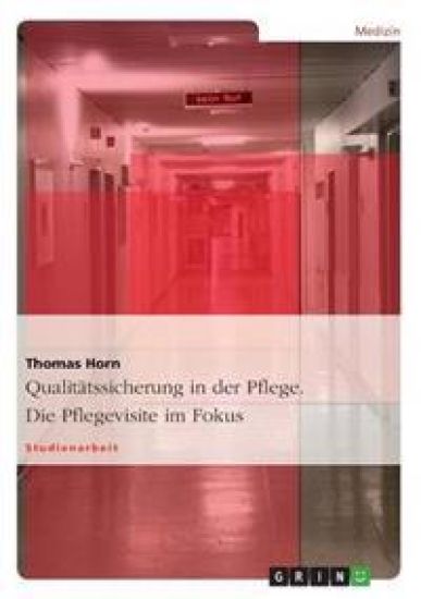 Qualit tssicherung in Der Pflege. Die Pflegevisite Im Fokus