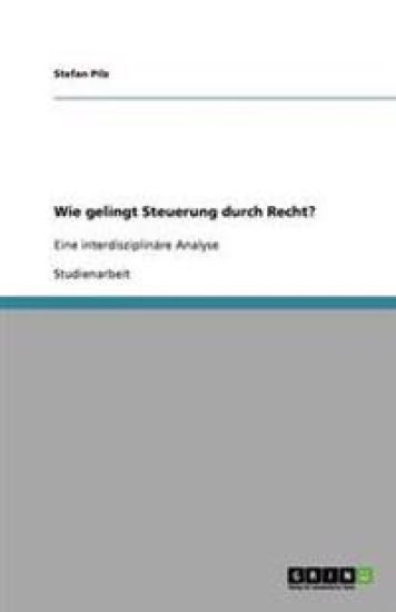 Wie Gelingt Steuerung Durch Recht?