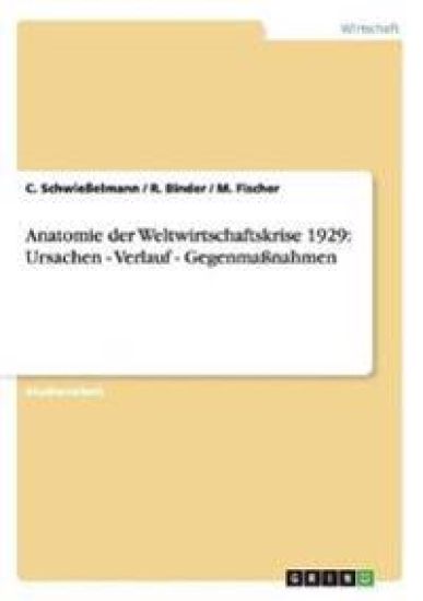 Die Anatomie der Weltwirtschaftskrise 1929. Ursachen, Verlauf, Gegenmaßnahmen