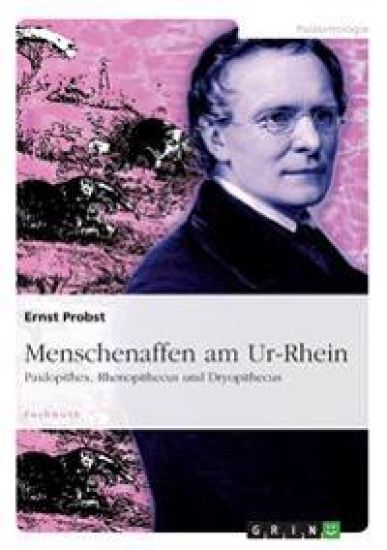 Menschenaffen am Ur-Rhein